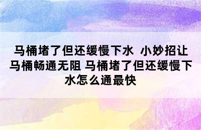 马桶堵了但还缓慢下水  小妙招让马桶畅通无阻 马桶堵了但还缓慢下水怎么通最快